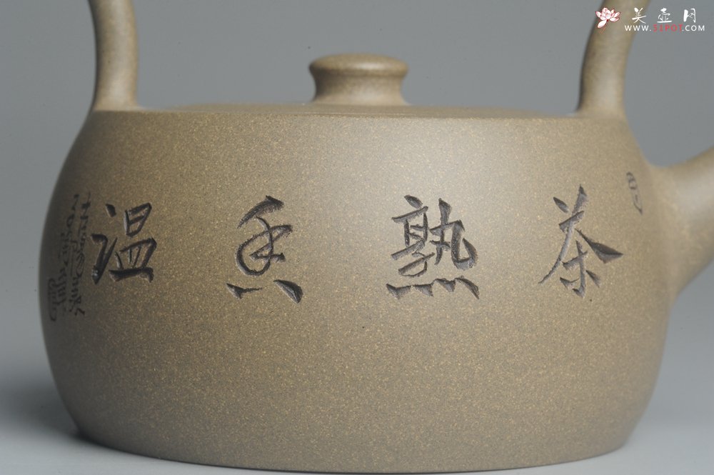 紫砂壶图片：美壶特惠 老青段 助工精工怀古提梁 装饰花鸟 - 宜兴紫砂壶网