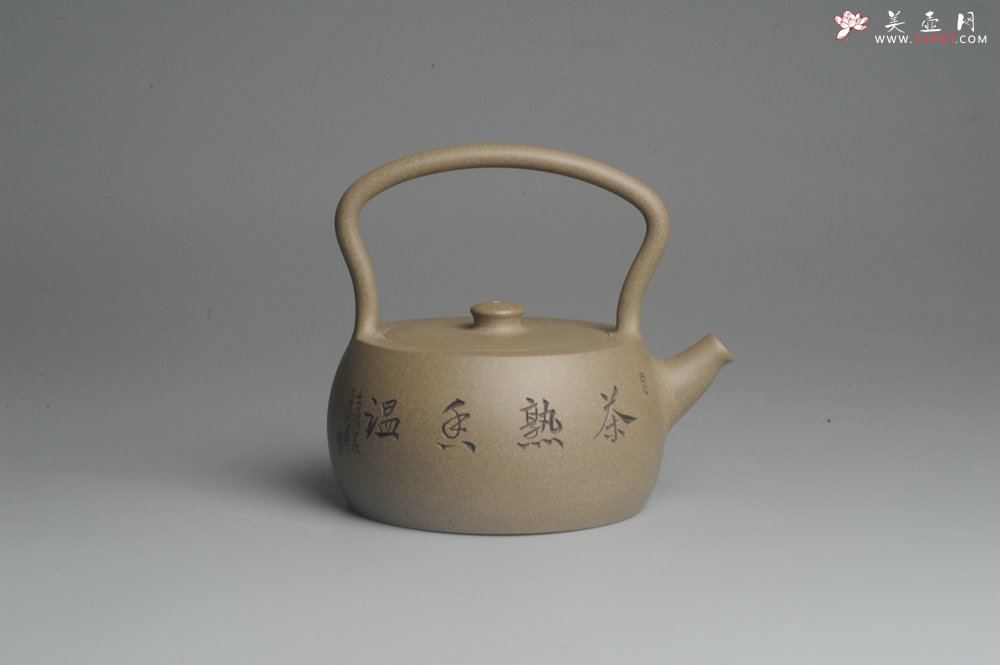 紫砂壶图片：美壶特惠 老青段 助工精工怀古提梁 装饰花鸟 - 宜兴紫砂壶网