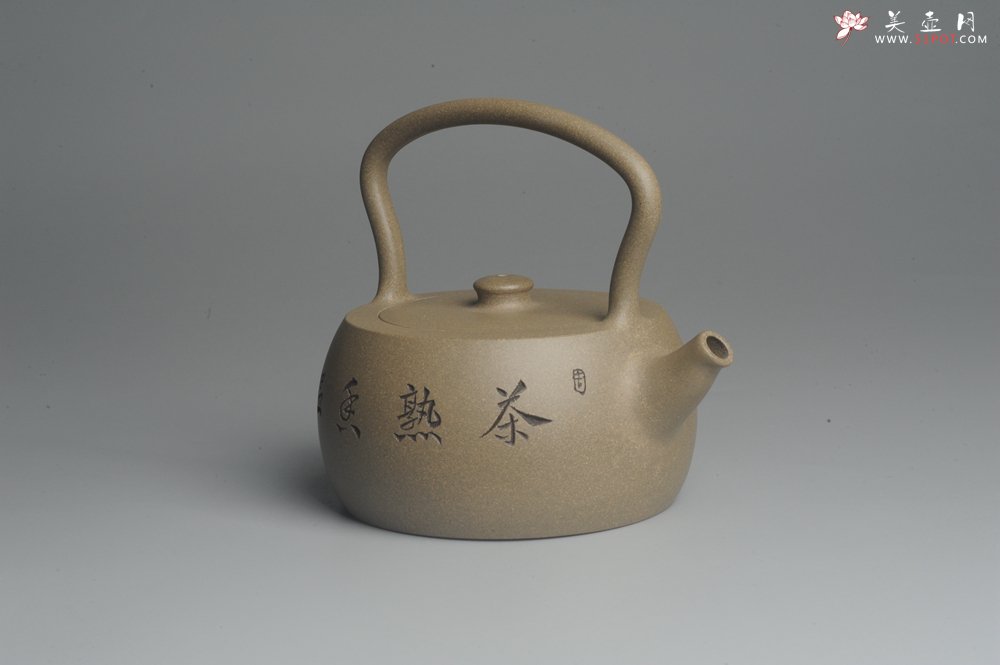 紫砂壶图片：美壶特惠 老青段 助工精工怀古提梁 装饰花鸟 - 宜兴紫砂壶网