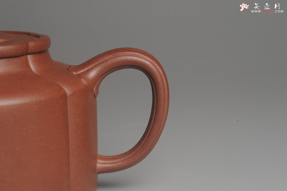 紫砂壶图片：实力派张海艳手工压制成型精工梅花周盘壶 气势磅礴 - 宜兴紫砂壶网