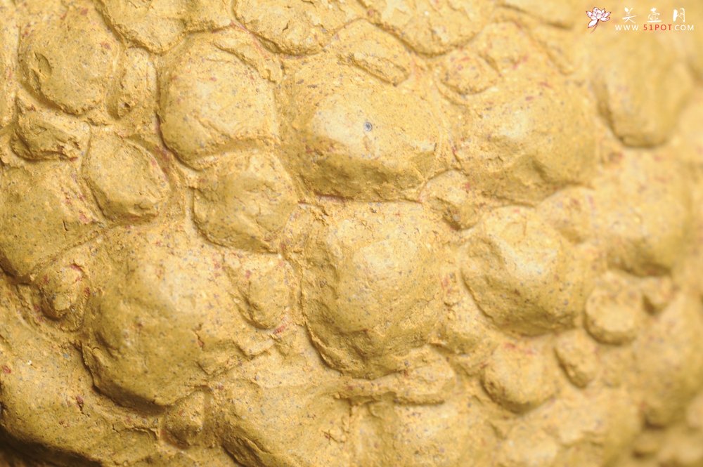 紫砂壶图片：美壶特惠 全手工黄段供春壶 肌理有老树瘿的感觉 灰常赞 - 宜兴紫砂壶网