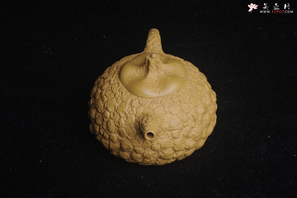 紫砂壶图片：美壶特惠 全手工黄段供春壶 肌理有老树瘿的感觉 灰常赞 - 宜兴紫砂壶网