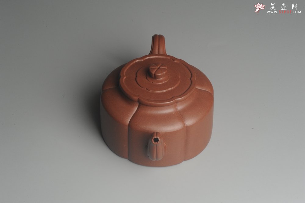 紫砂壶图片：实力派张海艳手工压制成型精工梅花周盘壶 气势磅礴 - 宜兴紫砂壶网