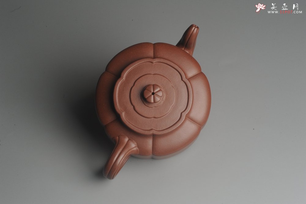 紫砂壶图片：实力派张海艳手工压制成型精工梅花周盘壶 气势磅礴 - 宜兴紫砂壶网