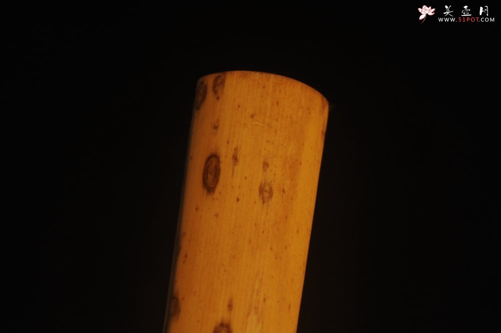 紫砂壶图片：自玩收藏级30年老凤眼扇骨 满天星老凤眼 9.5寸18方挑灯方 排口2.0少见 名家释普通法师书法 - 宜兴紫砂壶网