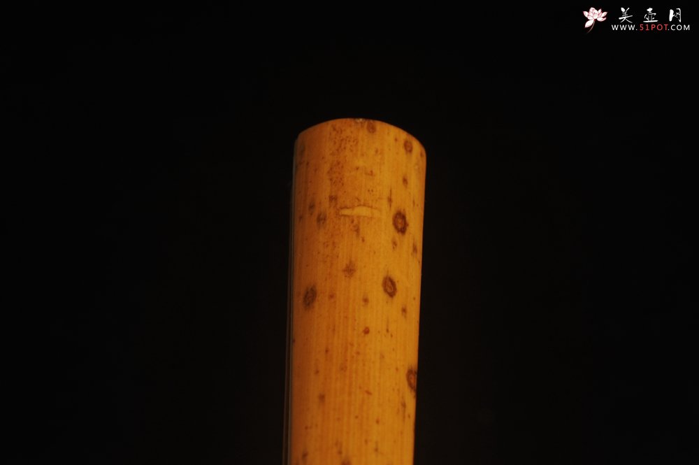 紫砂壶图片：自玩收藏级30年老凤眼扇骨 满天星老凤眼 9.5寸18方挑灯方 排口2.0少见 名家释普通法师书法 - 宜兴紫砂壶网