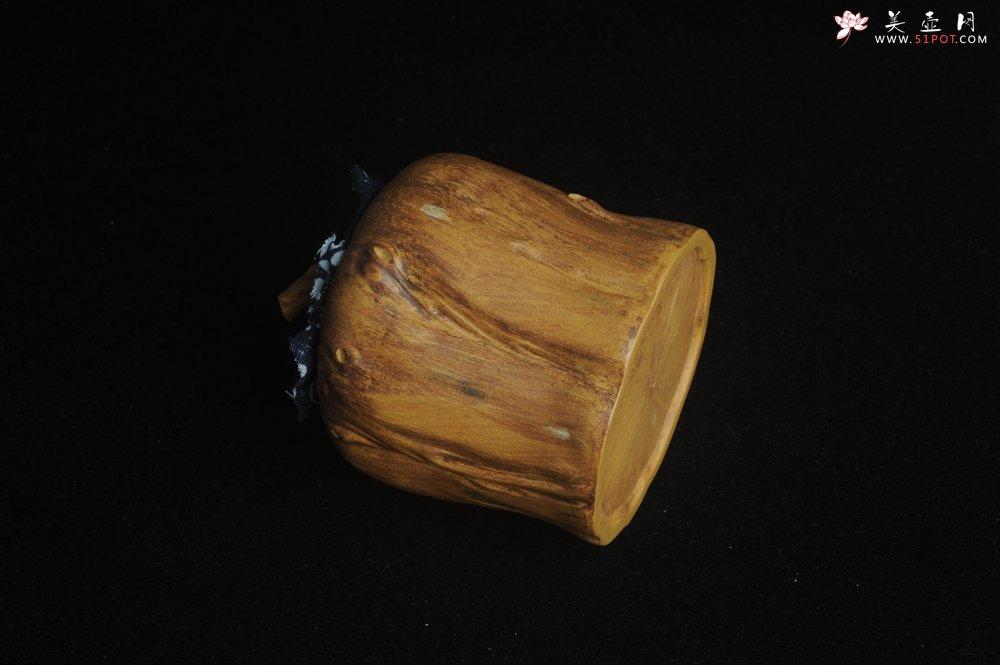 紫砂壶图片：特惠文气树桩茶叶罐 - 宜兴紫砂壶网