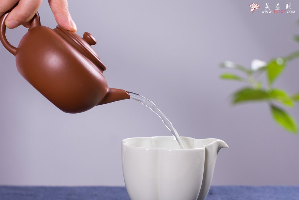 紫砂壶图片：毛国强入室弟子黄云初全手工朱泥仕圆壶 - 宜兴紫砂壶网