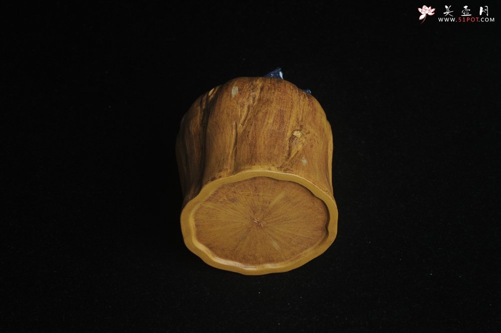 紫砂壶图片：特惠文气树桩茶叶罐 - 宜兴紫砂壶网