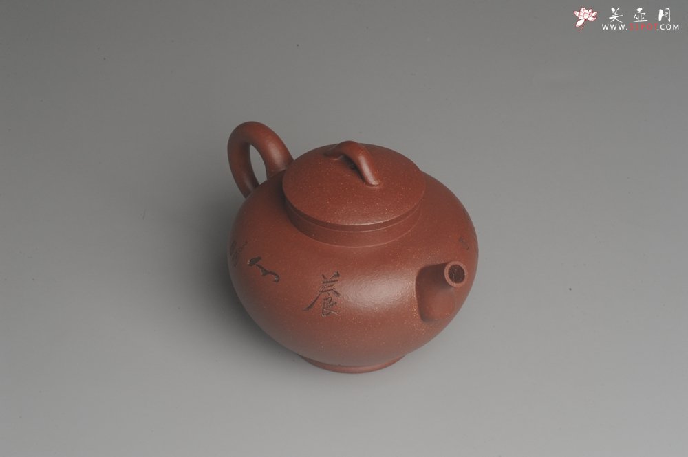 紫砂壶图片：美壶特惠 助工精工降坡泥陶瓮壶 蜗牛特文气 - 宜兴紫砂壶网