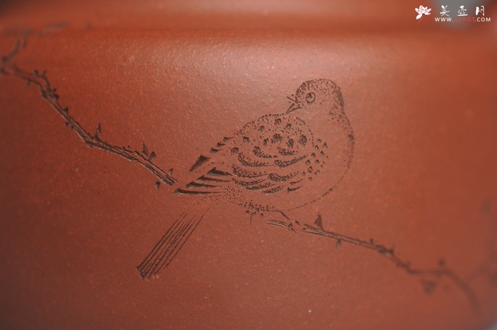 紫砂壶图片：美壶特惠 优质清水泥精致枯枝鸟德中壶 矿物质丰富 茶人醉爱 - 宜兴紫砂壶网