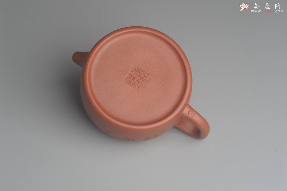 紫砂壶图片：美壶特惠 优质清水泥精致枯枝鸟德中壶 矿物质丰富 茶人醉爱 - 宜兴紫砂壶网