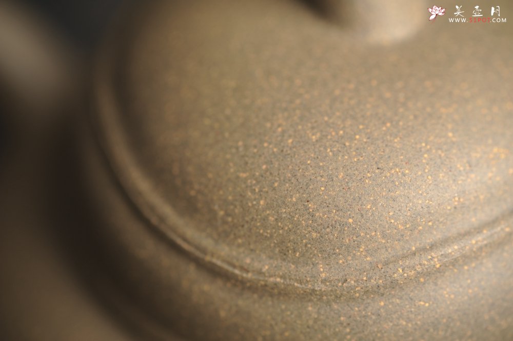 紫砂壶图片：美壶特惠 精致青段薄胎 质量仅101g 大肚竹壶 - 宜兴紫砂壶网