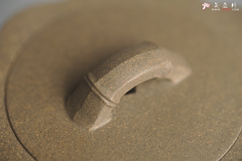 紫砂壶图片：美壶特惠 精致青段十三竹壶 茶人醉爱 - 宜兴紫砂壶网