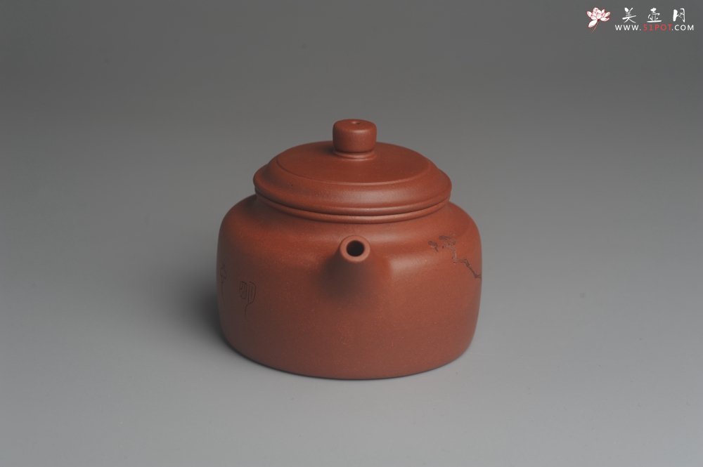 紫砂壶图片：美壶特惠 优质清水泥精致枯枝鸟德中壶 矿物质丰富 茶人醉爱 - 宜兴紫砂壶网