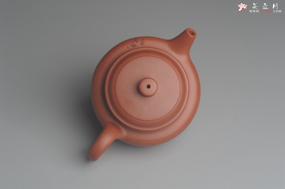 紫砂壶图片：美壶特惠 优质清水泥精致枯枝鸟德中壶 矿物质丰富 茶人醉爱 - 宜兴紫砂壶网