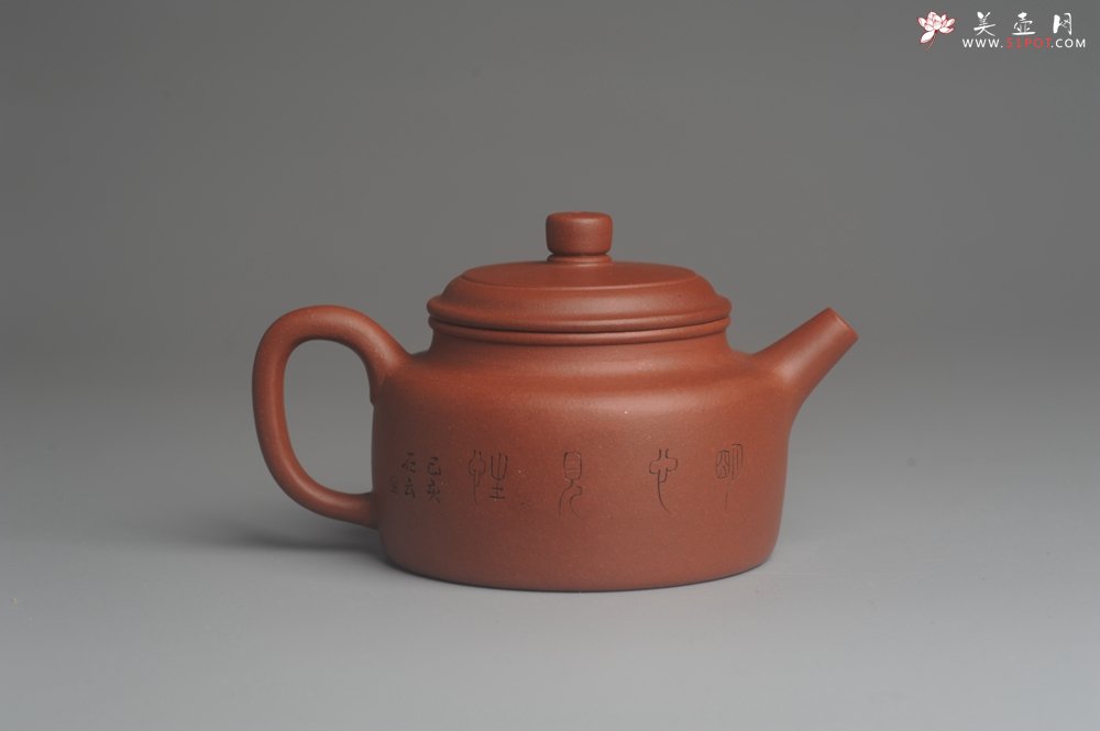 紫砂壶图片：美壶特惠 优质清水泥精致枯枝鸟德中壶 矿物质丰富 茶人醉爱 - 宜兴紫砂壶网