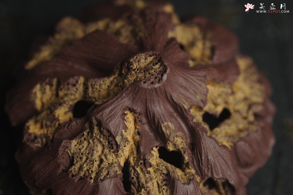 紫砂壶图片：美宠特惠 精致莲蓬茶宠摆件 直径7.5cm 茶盘尤物 - 宜兴紫砂壶网