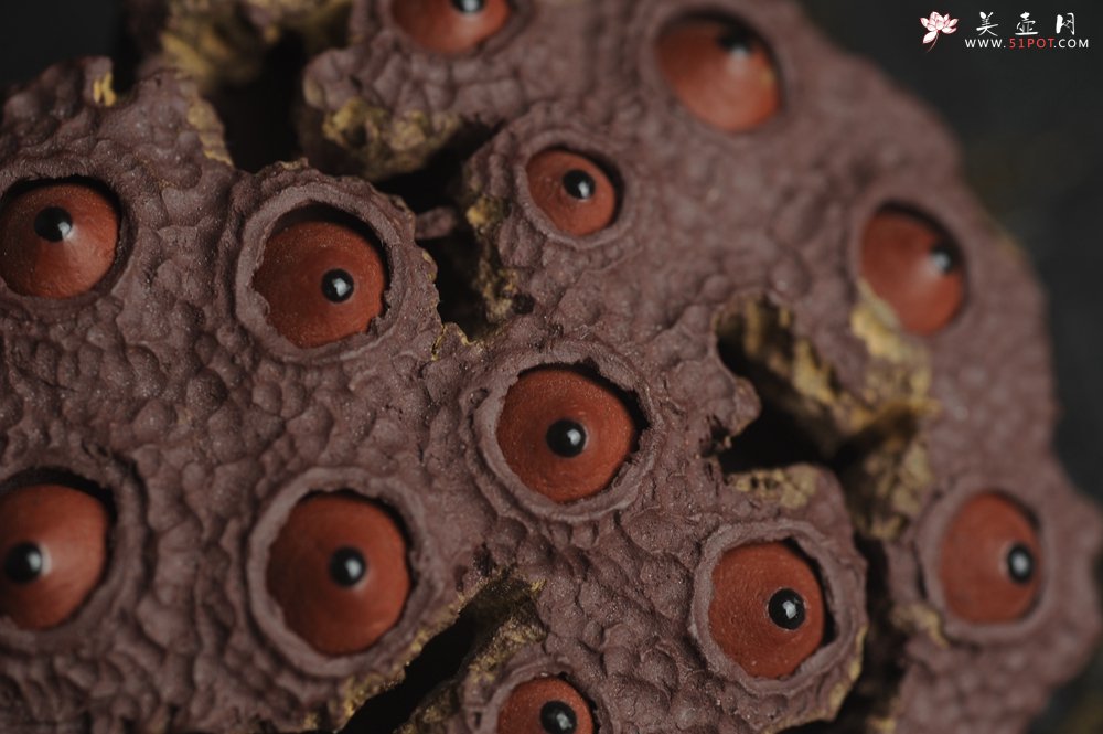 紫砂壶图片：美宠特惠 精致莲蓬茶宠摆件 直径7.5cm 茶盘尤物 - 宜兴紫砂壶网