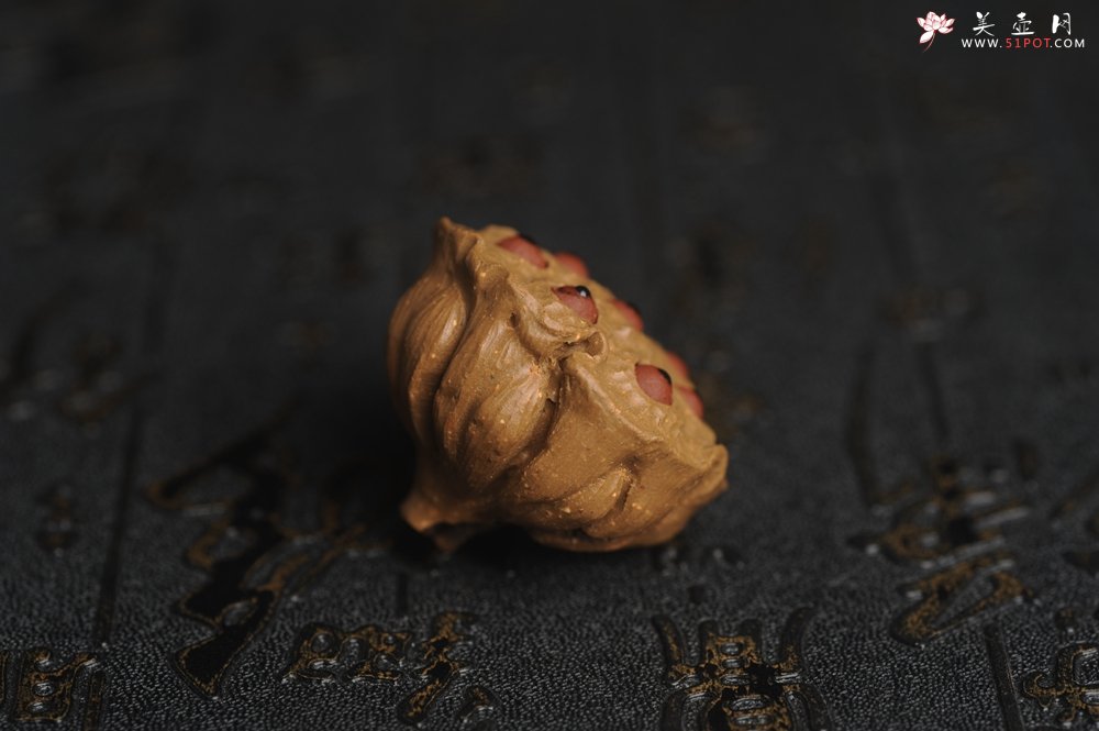 紫砂壶图片：美宠特惠 精致迷你紫砂小莲蓬茶宠摆件 莲子可动有趣 直径3.8cm高2.8cm左右 - 宜兴紫砂壶网