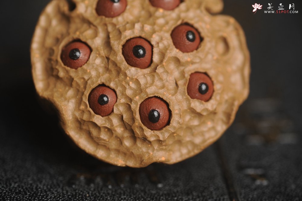 紫砂壶图片：美宠特惠 精致迷你紫砂小莲蓬茶宠摆件 莲子可动有趣 直径3.8cm高2.8cm左右 - 宜兴紫砂壶网