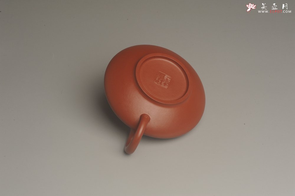 紫砂壶图片：小煤窑朱泥精致全手工小合欢壶 茶人醉爱 - 宜兴紫砂壶网