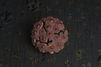 紫砂壶图片：美宠特惠 精致莲蓬茶宠摆件 直径7.5cm 茶盘尤物 - 宜兴紫砂壶网