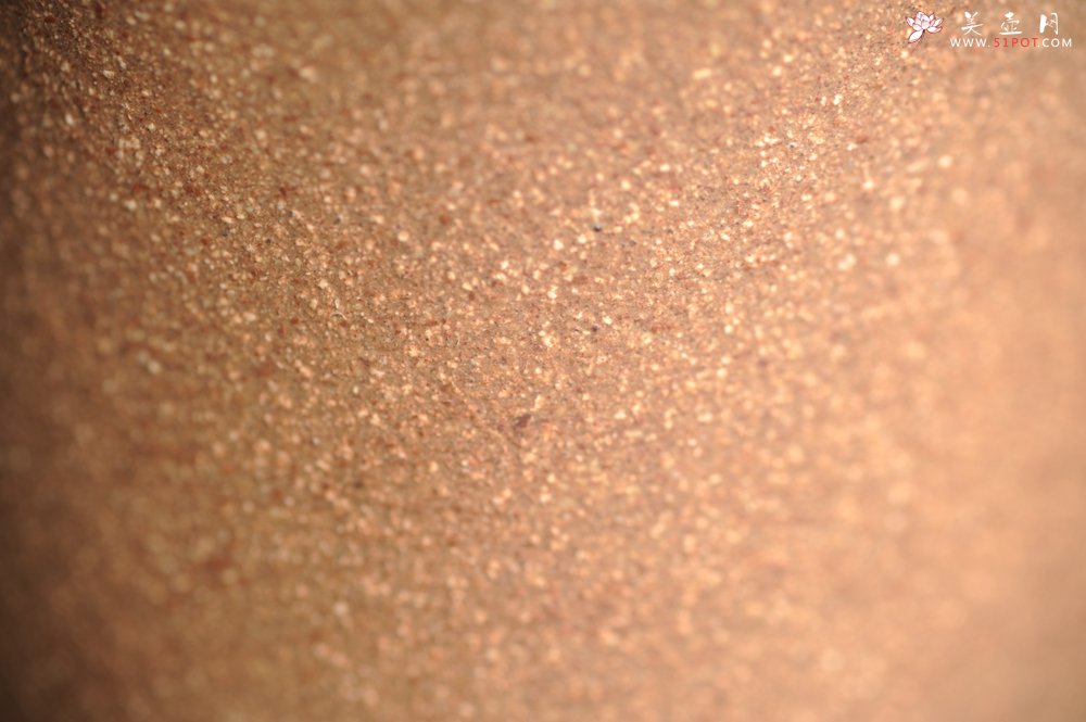 紫砂壶图片：美杯特惠 精致玉兰花文气主人杯 茶人醉爱 - 宜兴紫砂壶网