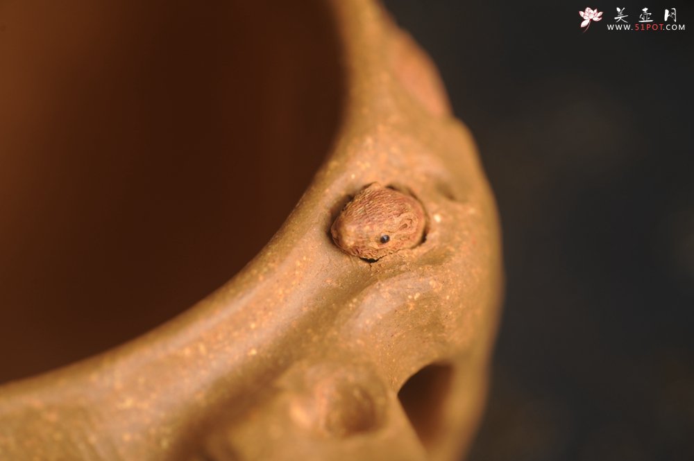 紫砂壶图片：美杯精品特惠 实力演绎全手工老黄段泥松鼠杯 松鼠灵动 贴叶生动 不失为一把好杯 - 宜兴紫砂壶网