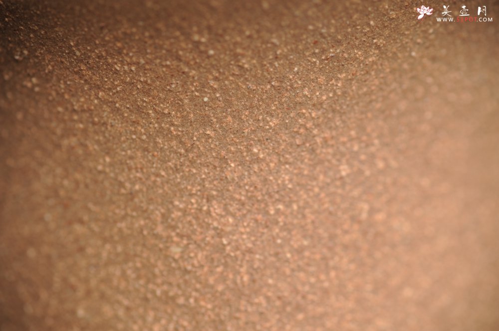 紫砂壶图片：美杯特惠 美杯特惠 精致梅花暗香主人杯 茶人醉爱 - 宜兴紫砂壶网