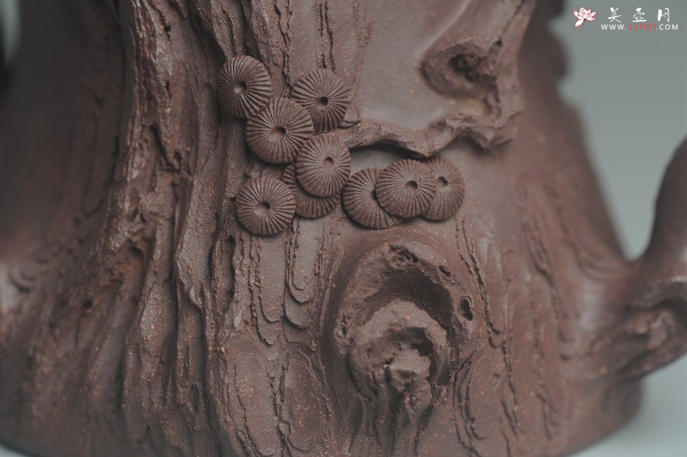 紫砂壶图片：实力精品全手工松桩 肌理丰富 越品越有味道 壶好的不要不要的 眼力好的速度下手 - 宜兴紫砂壶网