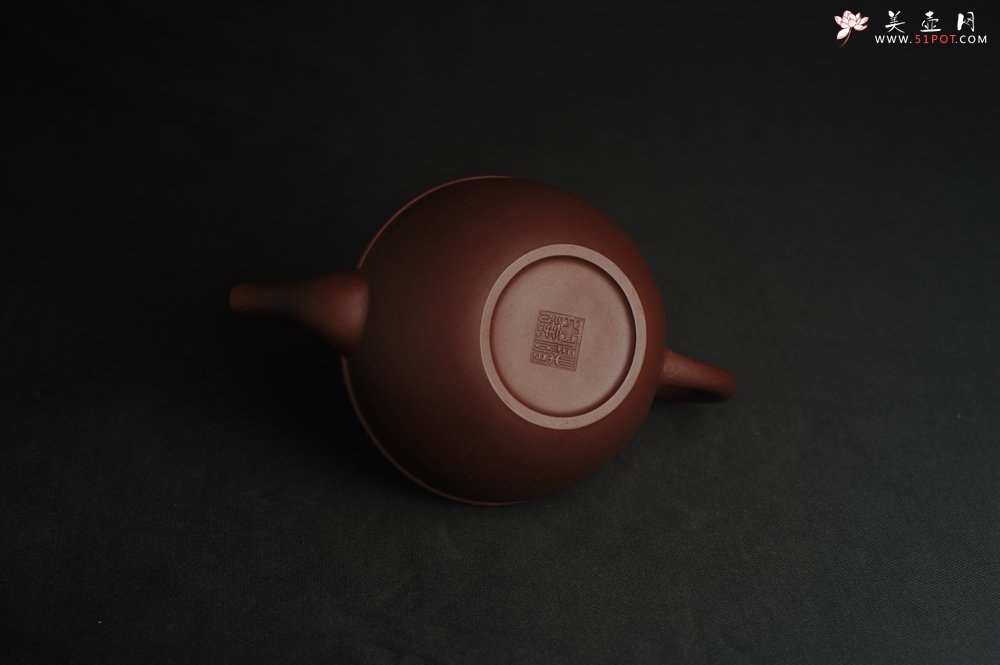 紫砂壶图片：美壶特惠 精致紫泥凤鸣壶 茶人醉爱 - 宜兴紫砂壶网