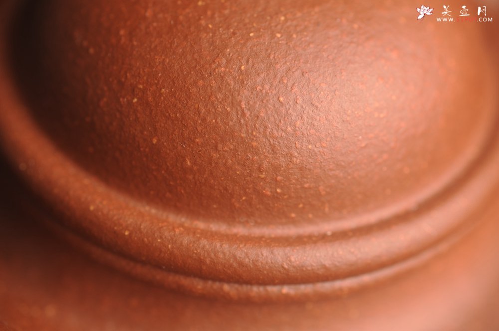 紫砂壶图片：美壶特惠 精致降坡泥寿珍掇球茶壶 性价比高 茶人醉爱 - 宜兴紫砂壶网