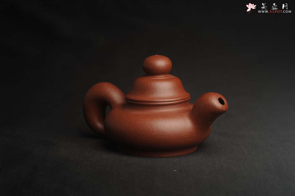 紫砂壶图片：美壶特惠 精致降坡泥道洪松鼠壶 萌萌哒 - 宜兴紫砂壶网