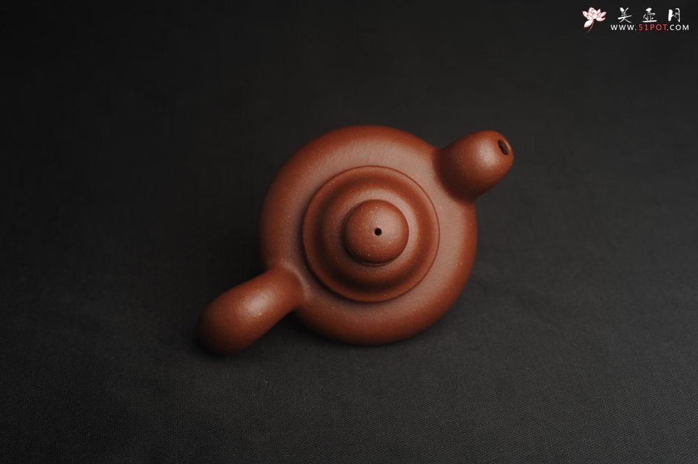 紫砂壶图片：美壶特惠 精致降坡泥道洪松鼠壶 萌萌哒 - 宜兴紫砂壶网