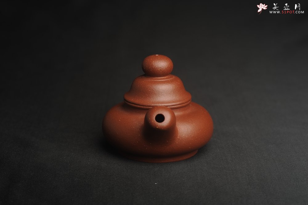 紫砂壶图片：美壶特惠 精致降坡泥道洪松鼠壶 萌萌哒 - 宜兴紫砂壶网