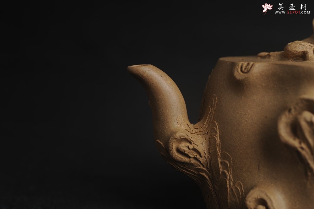 紫砂壶图片：潜力股唐老师 全手工精致老段松桩壶 肌理丰富生动 期待与您结缘 - 宜兴紫砂壶网