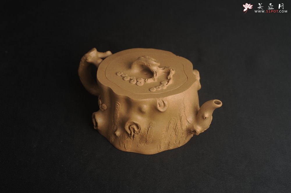 紫砂壶图片：潜力股唐老师 全手工精致老段松桩壶 肌理丰富生动 期待与您结缘 - 宜兴紫砂壶网