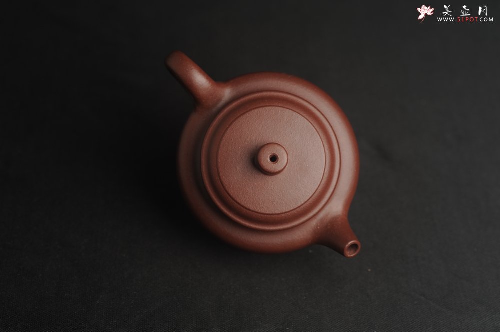 紫砂壶图片：,美壶特惠 优质紫泥精致枯枝鸟德中壶 矿物质丰富 茶人醉爱 - 宜兴紫砂壶网