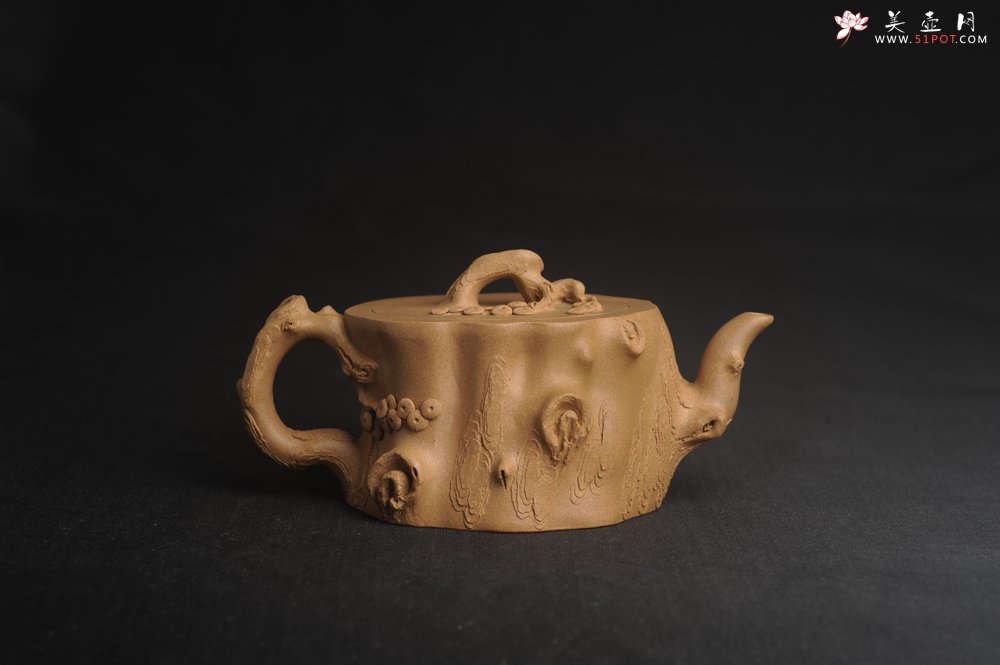 紫砂壶图片：潜力股唐老师 全手工精致老段松桩壶 肌理丰富生动 期待与您结缘 - 宜兴紫砂壶网