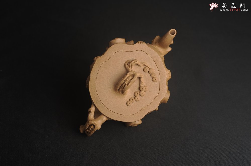 紫砂壶图片：潜力股唐老师 全手工精致老段松桩壶 肌理丰富生动 期待与您结缘 - 宜兴紫砂壶网