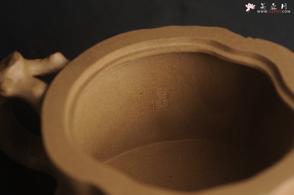 紫砂壶图片：潜力股唐老师 全手工精致老段松桩壶 肌理丰富生动 期待与您结缘 - 宜兴紫砂壶网