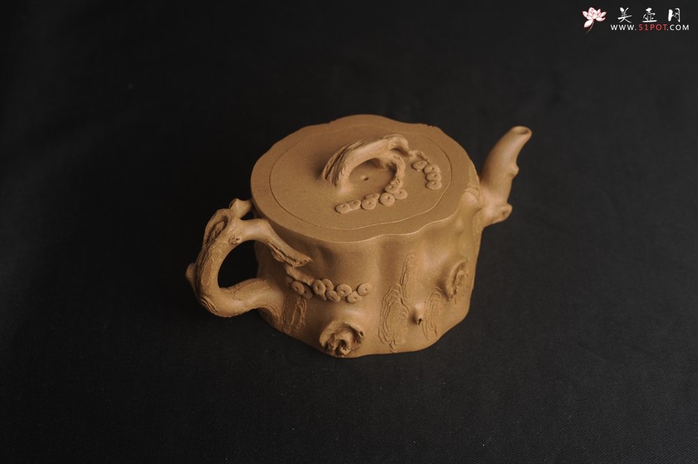 紫砂壶图片：潜力股唐老师 全手工精致老段松桩壶 肌理丰富生动 期待与您结缘 - 宜兴紫砂壶网