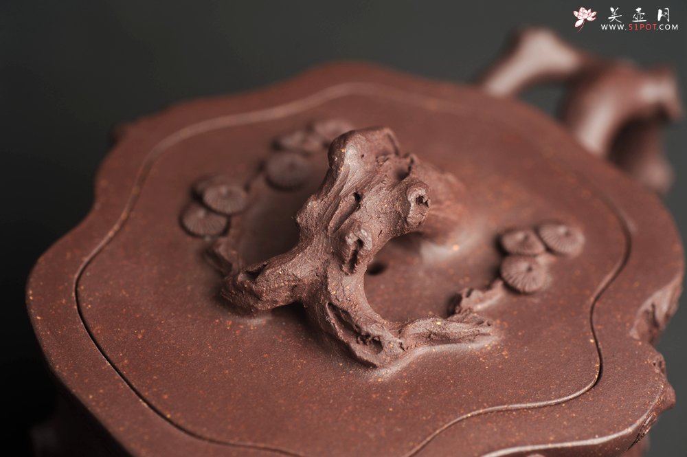 紫砂壶图片：潜力股唐老师 全手工精致老紫泥松桩壶 肌理丰富生动 期待与您结缘 - 宜兴紫砂壶网