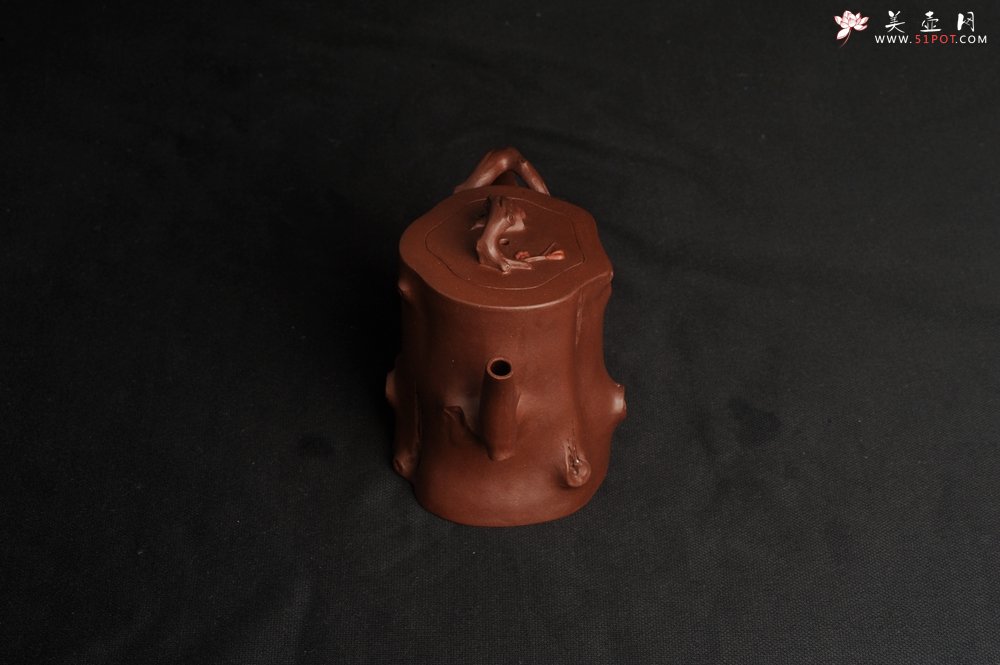 紫砂壶图片：潜力股赵老师 全手工秀雅梅桩 肌理自然生动 - 宜兴紫砂壶网