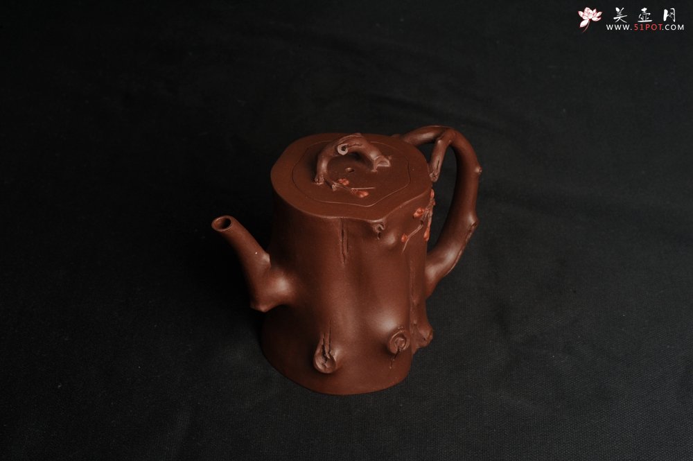 紫砂壶图片：潜力股赵老师 全手工秀雅梅桩 肌理自然生动 - 宜兴紫砂壶网