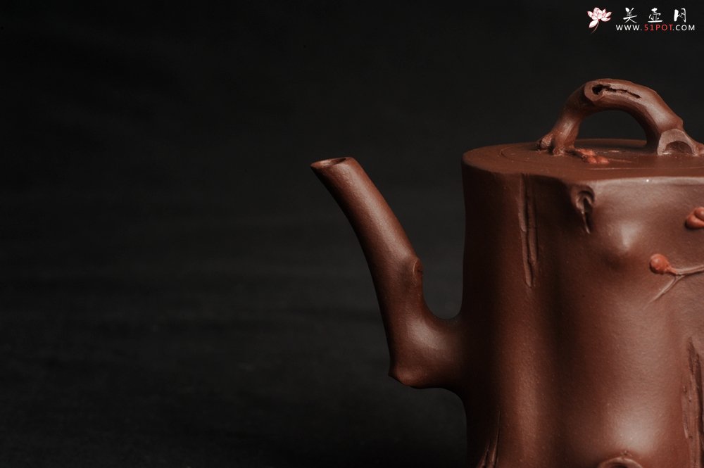 紫砂壶图片：潜力股赵老师 全手工秀雅梅桩 肌理自然生动 - 宜兴紫砂壶网