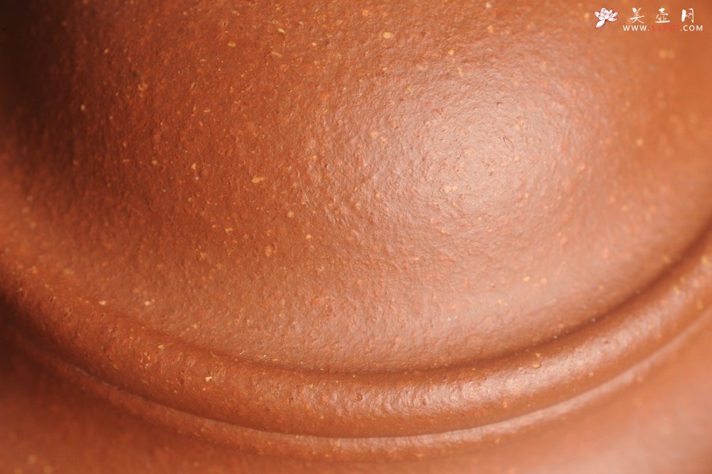 紫砂壶图片：美壶特惠 精致红降坡泥莲子壶 - 宜兴紫砂壶网