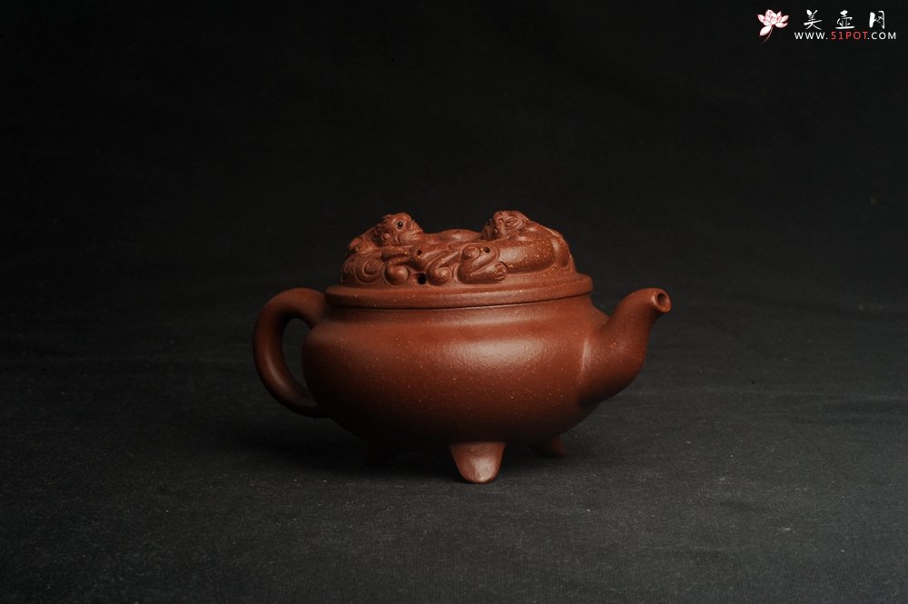 紫砂壶图片：美壶特惠 精致降坡泥游龙壶 茶人醉爱 - 宜兴紫砂壶网