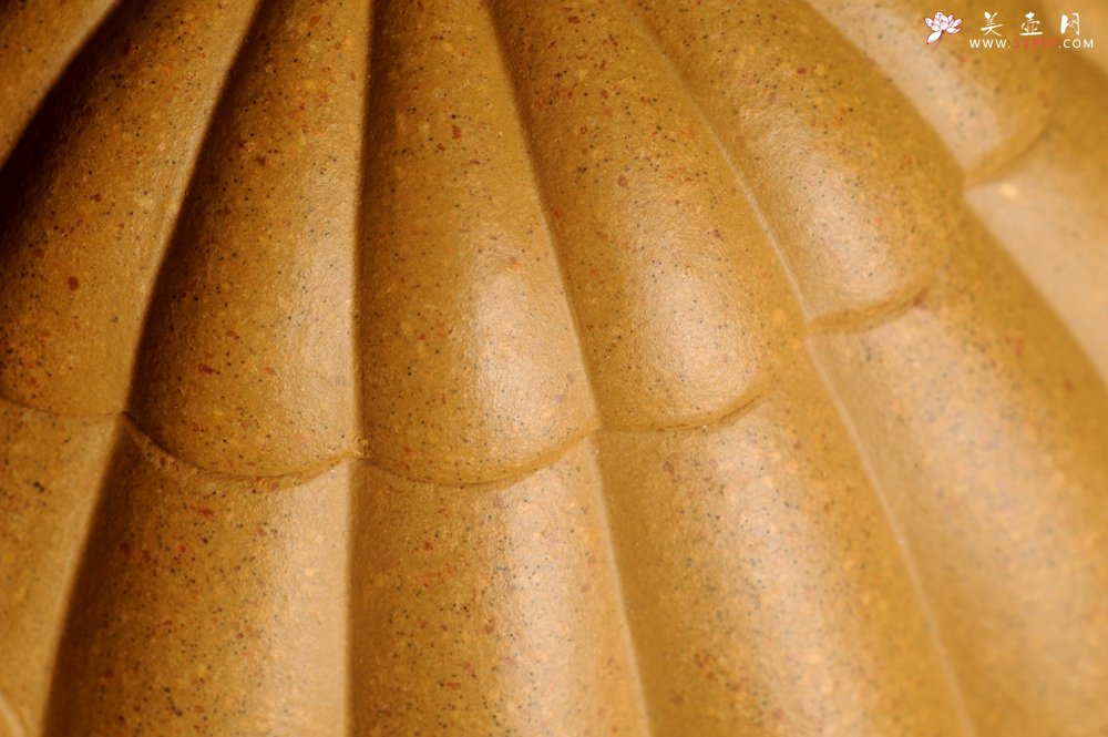 紫砂壶图片：实力派张海艳精工实力之作全手工菊瓣西施壶 壶特好 - 宜兴紫砂壶网